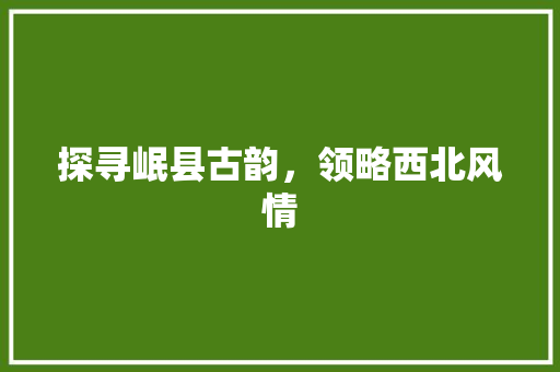 探寻岷县古韵，领略西北风情