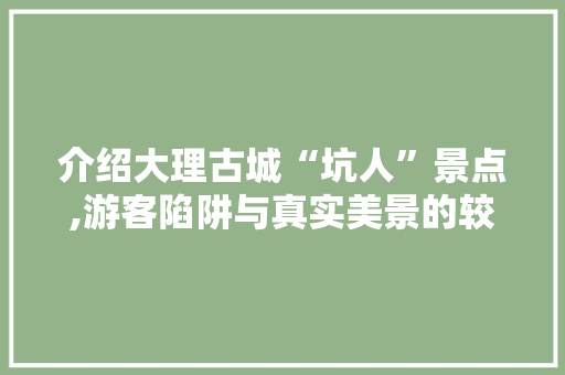 介绍大理古城“坑人”景点,游客陷阱与真实美景的较量