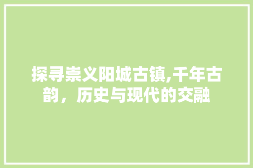 探寻崇义阳城古镇,千年古韵，历史与现代的交融