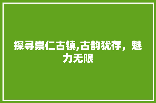 探寻崇仁古镇,古韵犹存，魅力无限