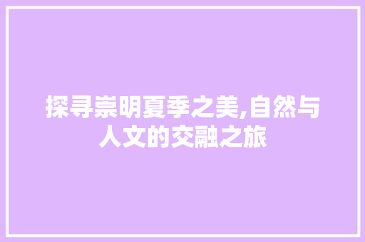 探寻崇明夏季之美,自然与人文的交融之旅