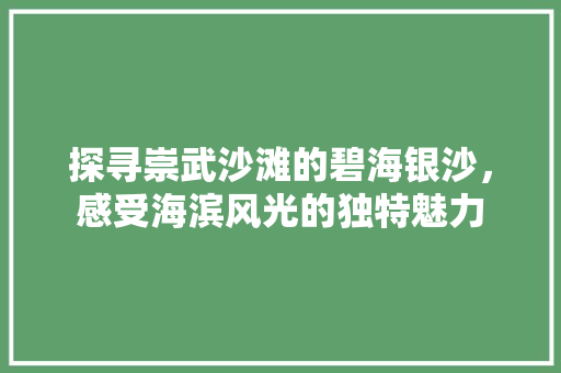 探寻崇武沙滩的碧海银沙，感受海滨风光的独特魅力