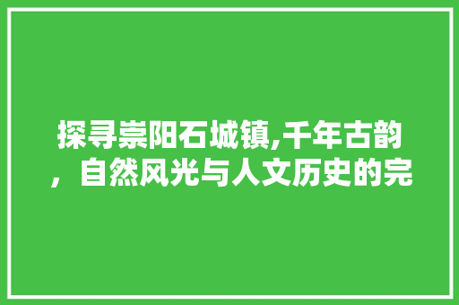 探寻崇阳石城镇,千年古韵，自然风光与人文历史的完美融合