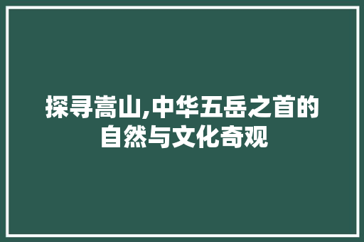 探寻嵩山,中华五岳之首的自然与文化奇观