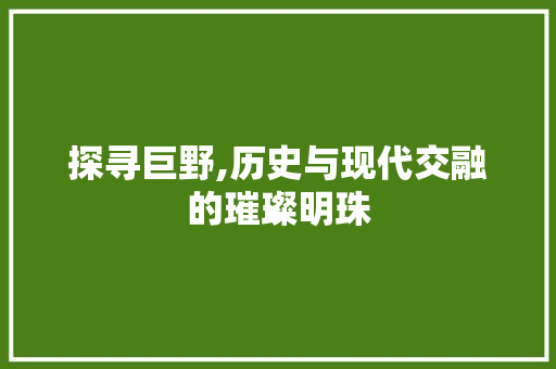 探寻巨野,历史与现代交融的璀璨明珠