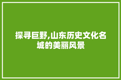 探寻巨野,山东历史文化名城的美丽风景