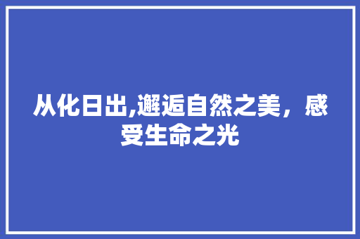 从化日出,邂逅自然之美，感受生命之光  第1张