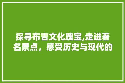 探寻布吉文化瑰宝,走进著名景点，感受历史与现代的交融