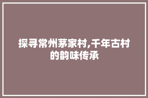 探寻常州茅家村,千年古村的韵味传承