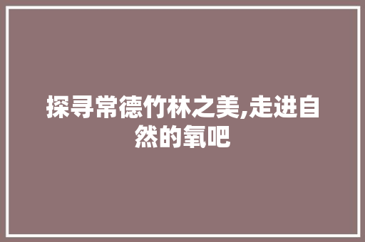 探寻常德竹林之美,走进自然的氧吧