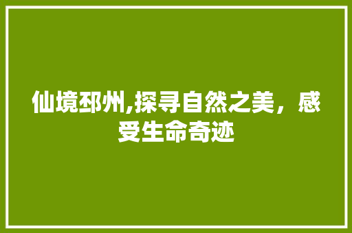 仙境邳州,探寻自然之美，感受生命奇迹