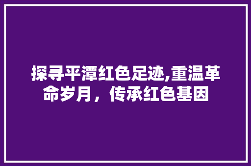 探寻平潭红色足迹,重温革命岁月，传承红色基因