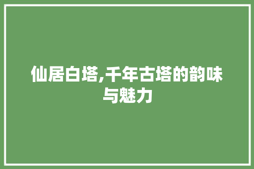 仙居白塔,千年古塔的韵味与魅力  第1张