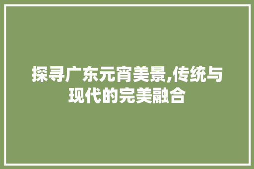 探寻广东元宵美景,传统与现代的完美融合