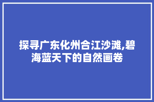 探寻广东化州合江沙滩,碧海蓝天下的自然画卷