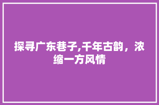 探寻广东巷子,千年古韵，浓缩一方风情