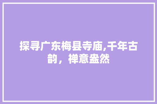 探寻广东梅县寺庙,千年古韵，禅意盎然