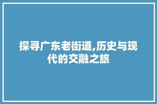 探寻广东老街道,历史与现代的交融之旅