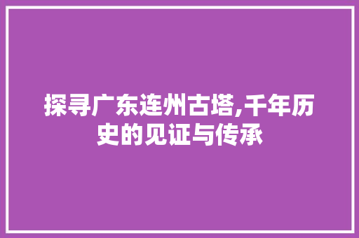 探寻广东连州古塔,千年历史的见证与传承