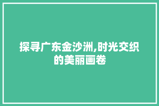 探寻广东金沙洲,时光交织的美丽画卷