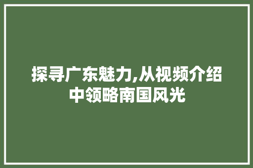 探寻广东魅力,从视频介绍中领略南国风光