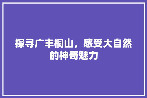 探寻广丰桐山，感受大自然的神奇魅力