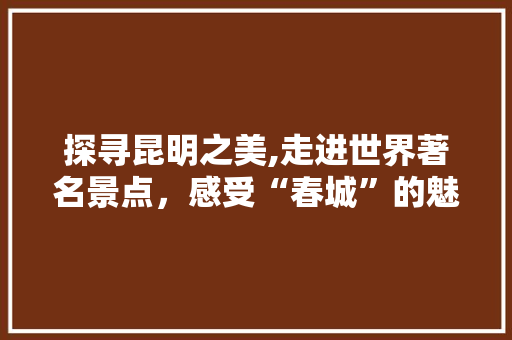 探寻昆明之美,走进世界著名景点，感受“春城”的魅力