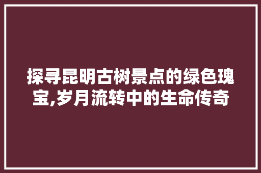 探寻昆明古树景点的绿色瑰宝,岁月流转中的生命传奇