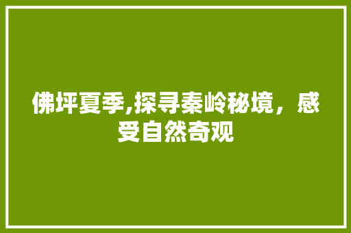 佛坪夏季,探寻秦岭秘境，感受自然奇观