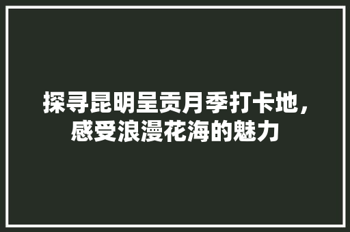 探寻昆明呈贡月季打卡地，感受浪漫花海的魅力