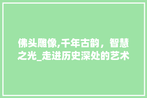 佛头雕像,千年古韵，智慧之光_走进历史深处的艺术瑰宝