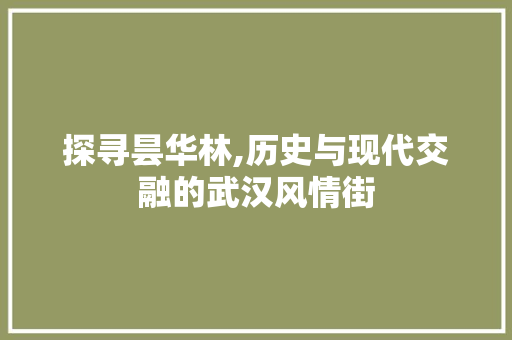 探寻昙华林,历史与现代交融的武汉风情街