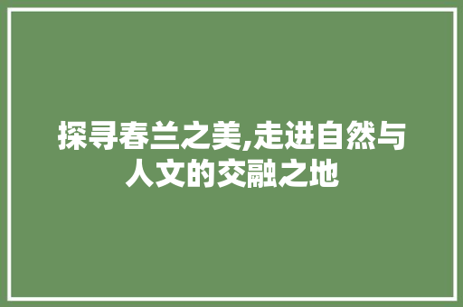 探寻春兰之美,走进自然与人文的交融之地