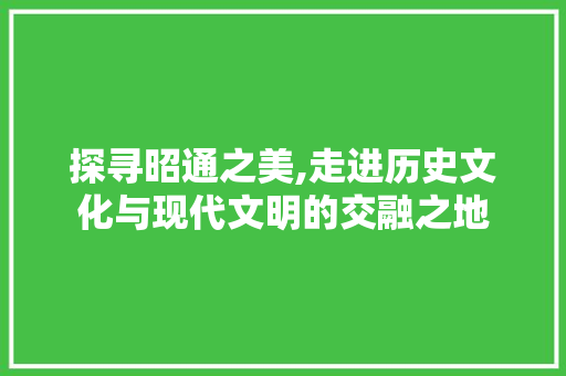 探寻昭通之美,走进历史文化与现代文明的交融之地