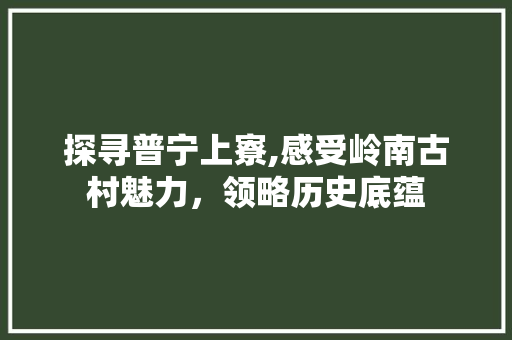 探寻普宁上寮,感受岭南古村魅力，领略历史底蕴