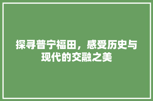 探寻普宁福田，感受历史与现代的交融之美