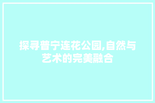 探寻普宁连花公园,自然与艺术的完美融合