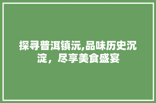 探寻普洱镇沅,品味历史沉淀，尽享美食盛宴