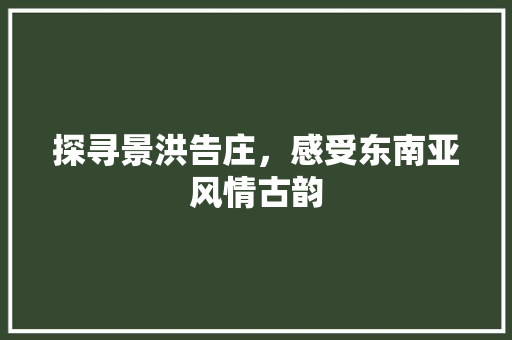 探寻景洪告庄，感受东南亚风情古韵