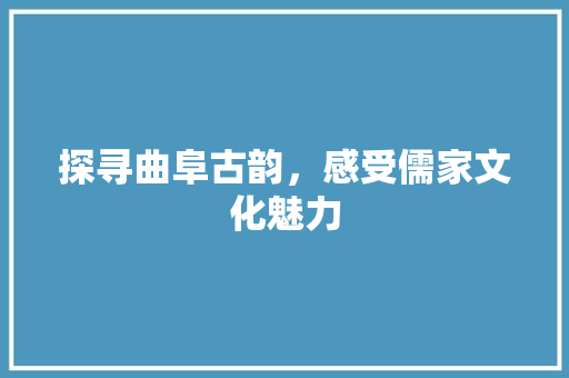 探寻曲阜古韵，感受儒家文化魅力