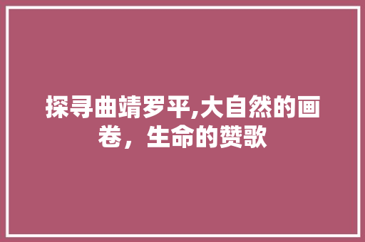 探寻曲靖罗平,大自然的画卷，生命的赞歌