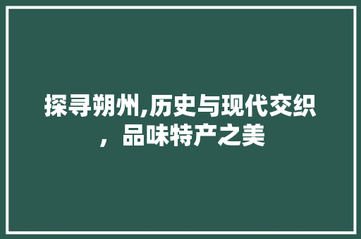 探寻朔州,历史与现代交织，品味特产之美