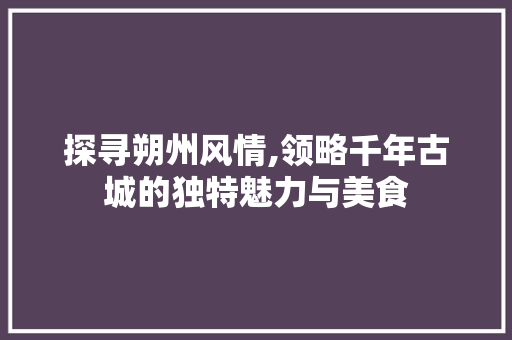 探寻朔州风情,领略千年古城的独特魅力与美食