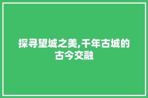 探寻望城之美,千年古城的古今交融