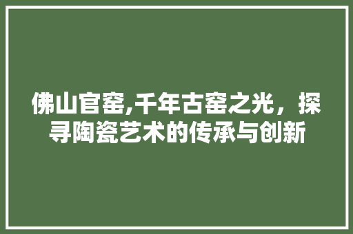 佛山官窑,千年古窑之光，探寻陶瓷艺术的传承与创新