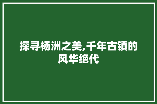 探寻杨洲之美,千年古镇的风华绝代