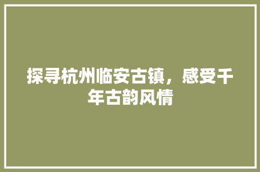 探寻杭州临安古镇，感受千年古韵风情