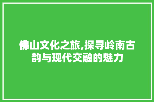 佛山文化之旅,探寻岭南古韵与现代交融的魅力  第1张