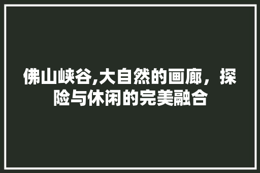 佛山峡谷,大自然的画廊，探险与休闲的完美融合  第1张