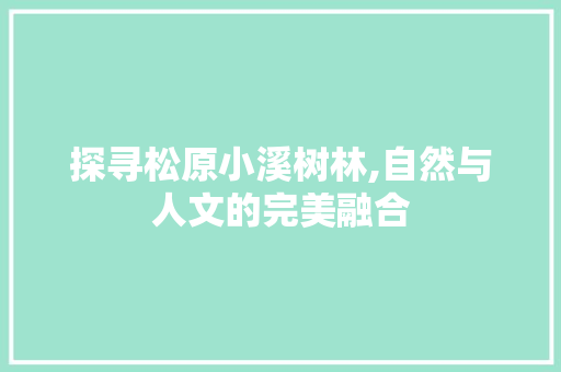 探寻松原小溪树林,自然与人文的完美融合